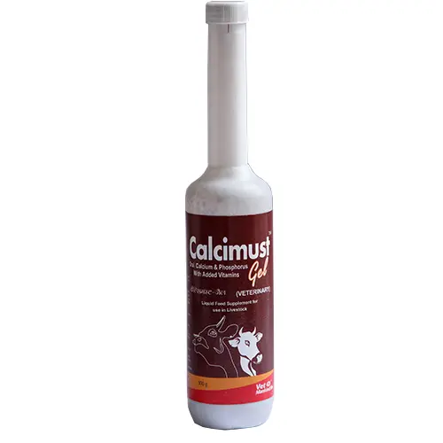 Calcimust Gel 300g